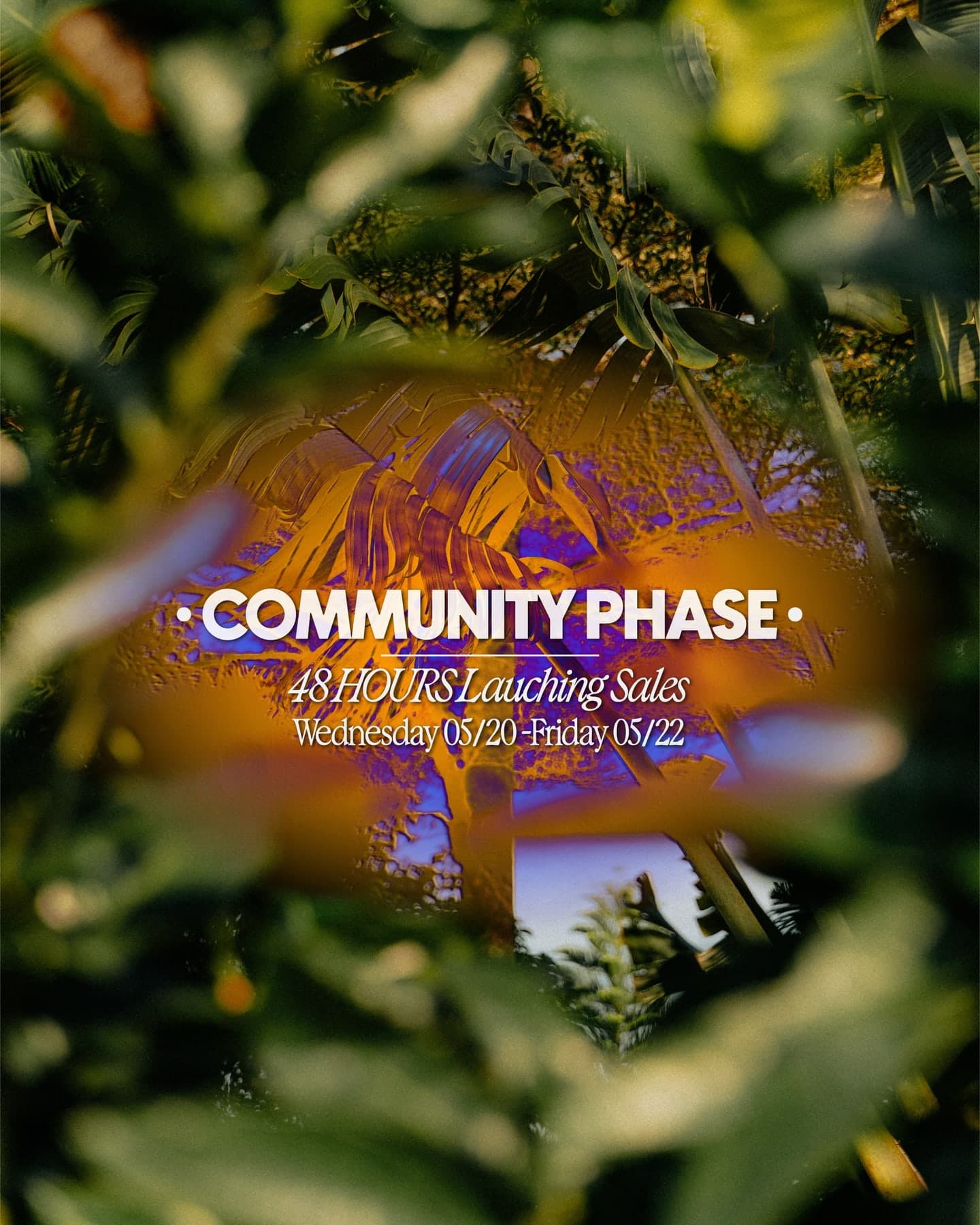 Community phase post: 48-hour launch sales, framed by leaves